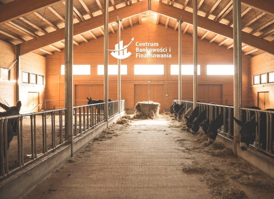 Proces kredytu inwestycyjnego w CBIF – 5 kroków bez błądzenia dla rolników