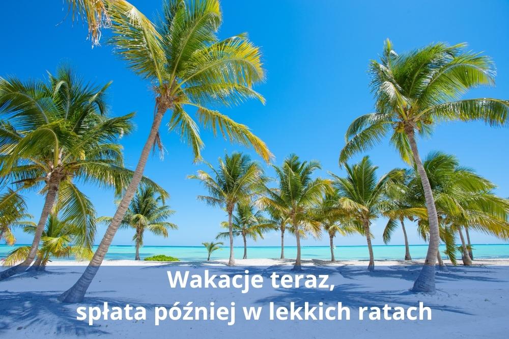 Kredyt na wakacje, tropikalna plaża z palmami i błękitnym morzem